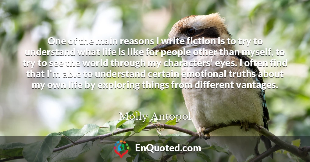 One of the main reasons I write fiction is to try to understand what life is like for people other than myself, to try to see the world through my characters' eyes. I often find that I'm able to understand certain emotional truths about my own life by exploring things from different vantages.