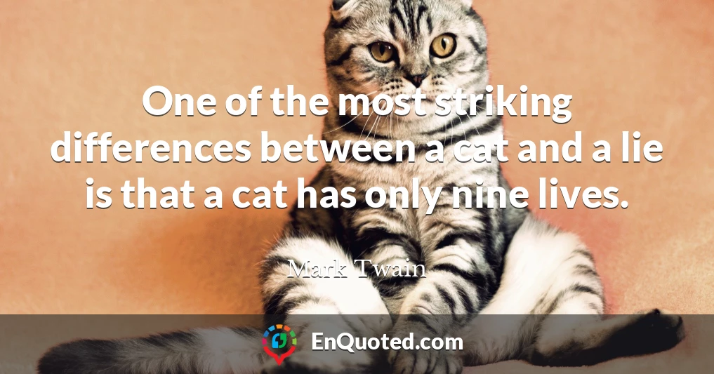 One of the most striking differences between a cat and a lie is that a cat has only nine lives.