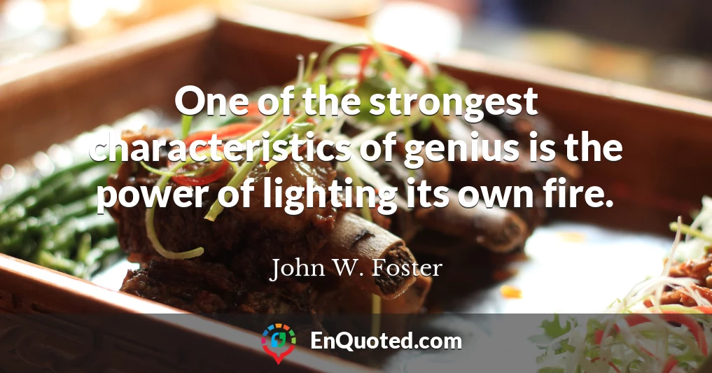 One of the strongest characteristics of genius is the power of lighting its own fire.