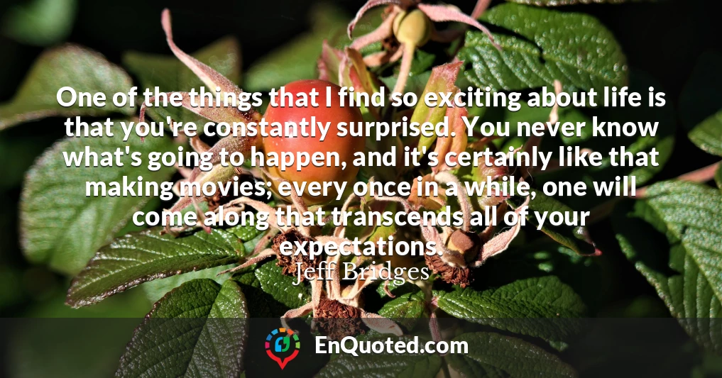 One of the things that I find so exciting about life is that you're constantly surprised. You never know what's going to happen, and it's certainly like that making movies; every once in a while, one will come along that transcends all of your expectations.