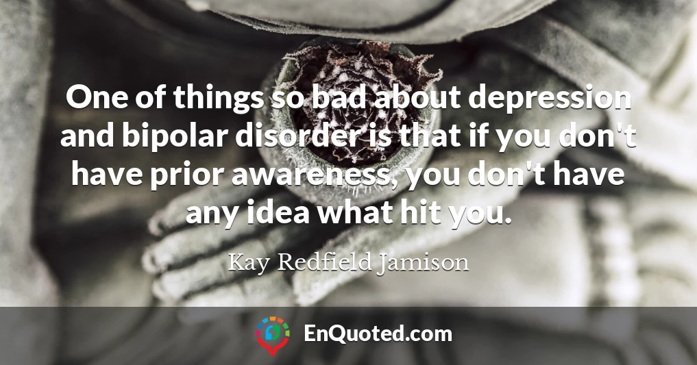 One of things so bad about depression and bipolar disorder is that if you don't have prior awareness, you don't have any idea what hit you.