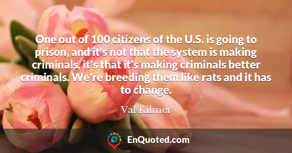 One out of 100 citizens of the U.S. is going to prison, and it's not that the system is making criminals, it's that it's making criminals better criminals. We're breeding them like rats and it has to change.