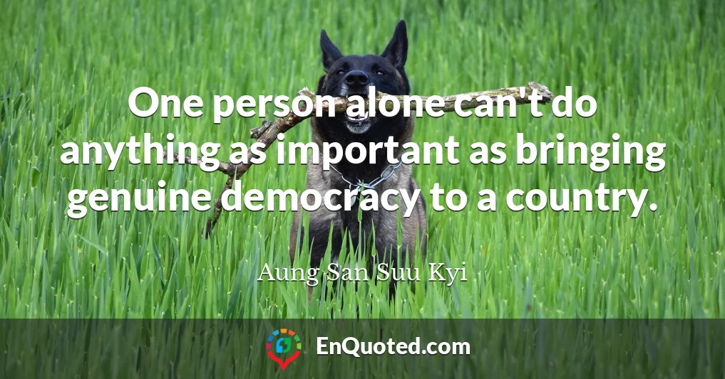 One person alone can't do anything as important as bringing genuine democracy to a country.