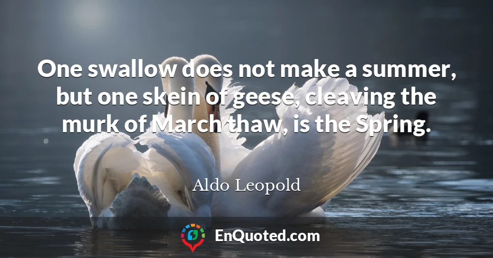 One swallow does not make a summer, but one skein of geese, cleaving the murk of March thaw, is the Spring.