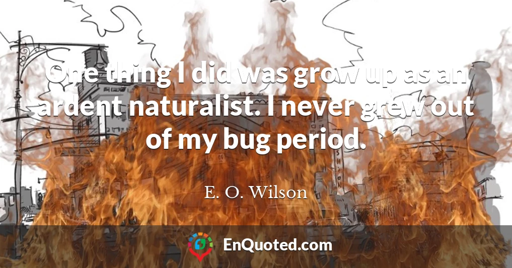 One thing I did was grow up as an ardent naturalist. I never grew out of my bug period.