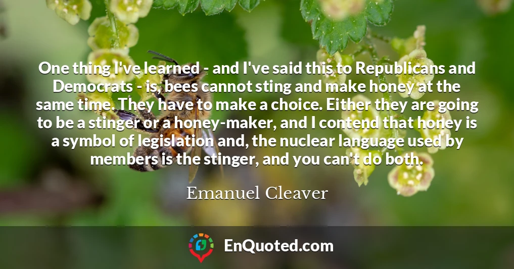 One thing I've learned - and I've said this to Republicans and Democrats - is, bees cannot sting and make honey at the same time. They have to make a choice. Either they are going to be a stinger or a honey-maker, and I contend that honey is a symbol of legislation and, the nuclear language used by members is the stinger, and you can't do both.