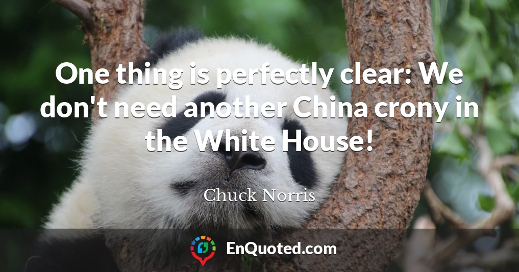 One thing is perfectly clear: We don't need another China crony in the White House!