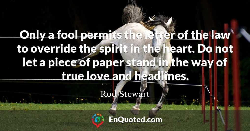Only a fool permits the letter of the law to override the spirit in the heart. Do not let a piece of paper stand in the way of true love and headlines.