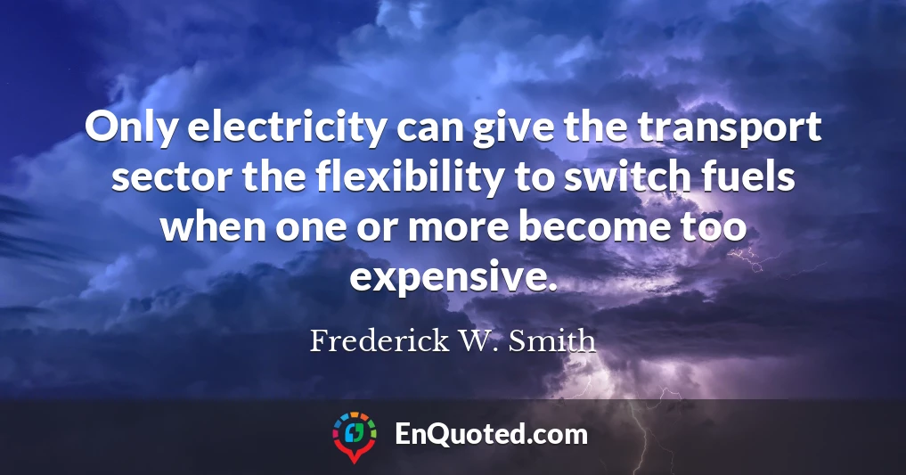 Only electricity can give the transport sector the flexibility to switch fuels when one or more become too expensive.