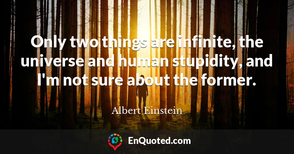 Only two things are infinite, the universe and human stupidity, and I'm not sure about the former.
