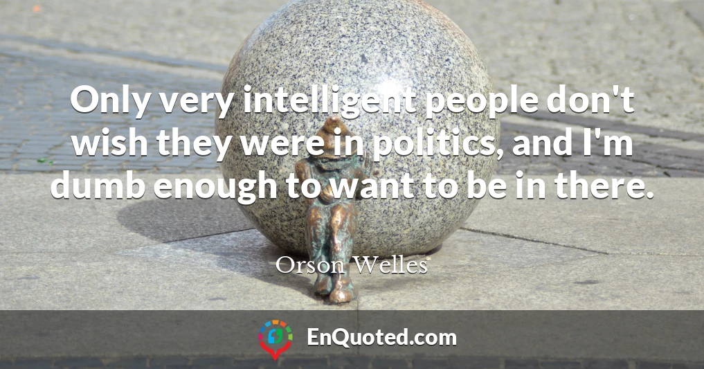 Only very intelligent people don't wish they were in politics, and I'm dumb enough to want to be in there.