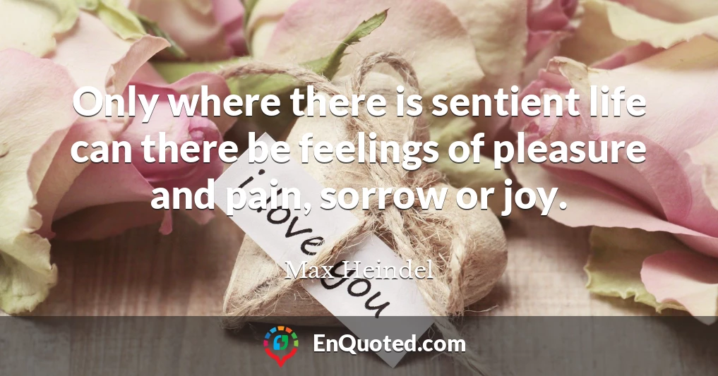 Only where there is sentient life can there be feelings of pleasure and pain, sorrow or joy.