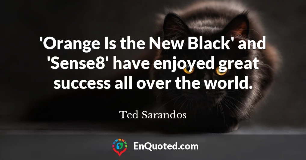 'Orange Is the New Black' and 'Sense8' have enjoyed great success all over the world.
