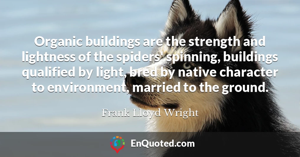 Organic buildings are the strength and lightness of the spiders' spinning, buildings qualified by light, bred by native character to environment, married to the ground.