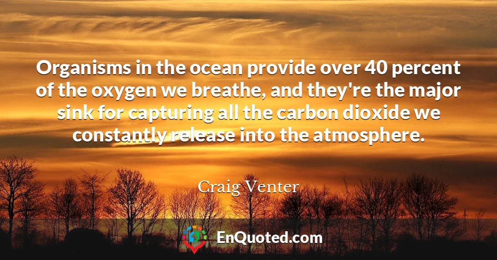 Organisms in the ocean provide over 40 percent of the oxygen we breathe, and they're the major sink for capturing all the carbon dioxide we constantly release into the atmosphere.