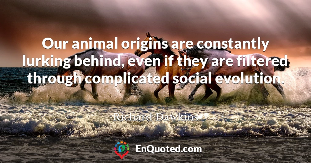 Our animal origins are constantly lurking behind, even if they are filtered through complicated social evolution.