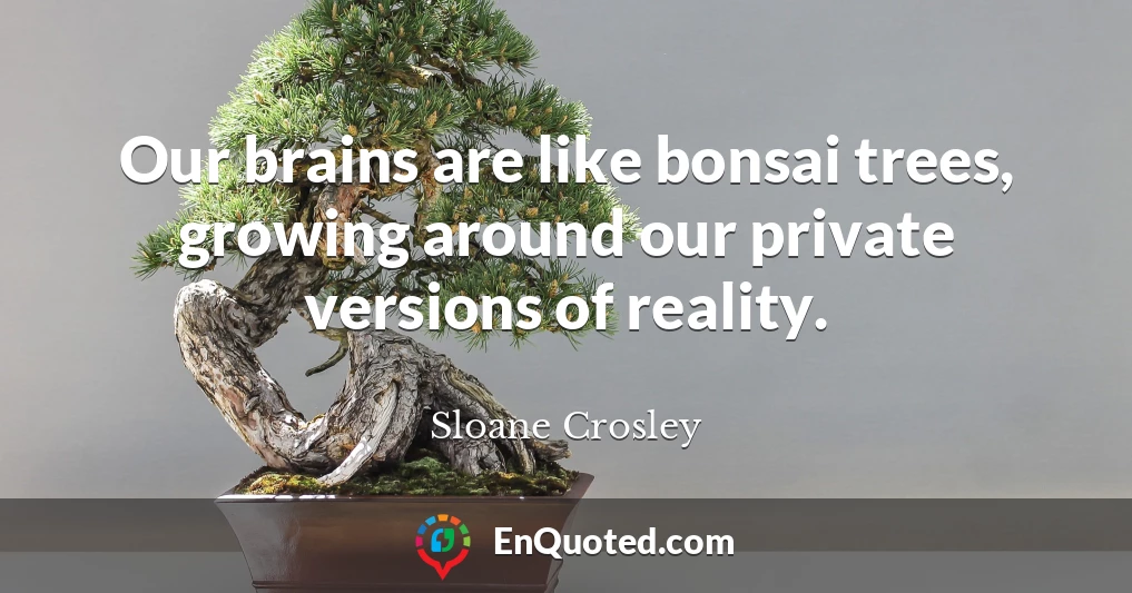 Our brains are like bonsai trees, growing around our private versions of reality.
