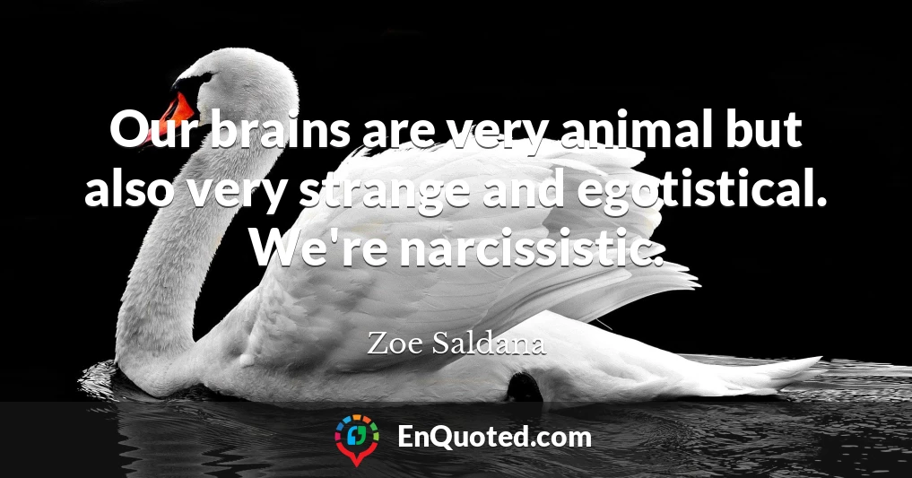 Our brains are very animal but also very strange and egotistical. We're narcissistic.