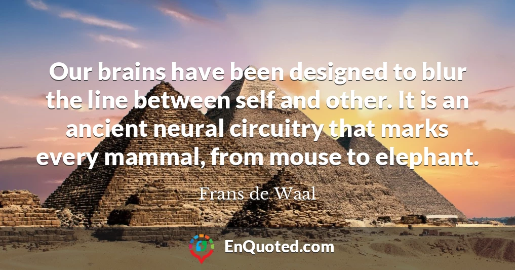 Our brains have been designed to blur the line between self and other. It is an ancient neural circuitry that marks every mammal, from mouse to elephant.
