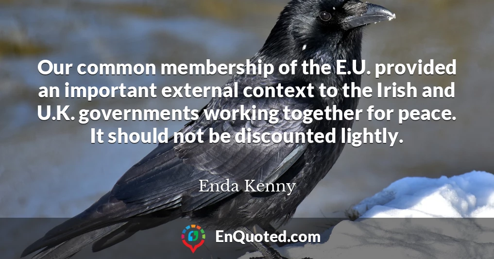 Our common membership of the E.U. provided an important external context to the Irish and U.K. governments working together for peace. It should not be discounted lightly.
