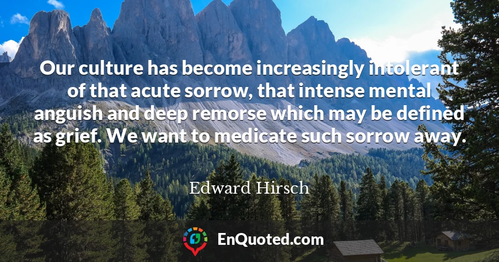 Our culture has become increasingly intolerant of that acute sorrow, that intense mental anguish and deep remorse which may be defined as grief. We want to medicate such sorrow away.