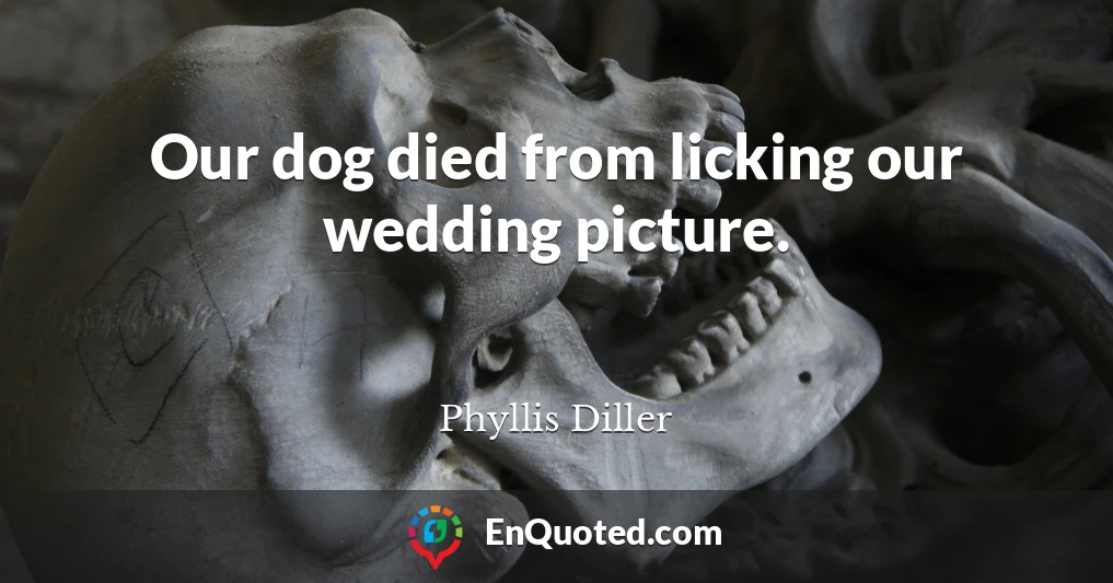 Our dog died from licking our wedding picture.