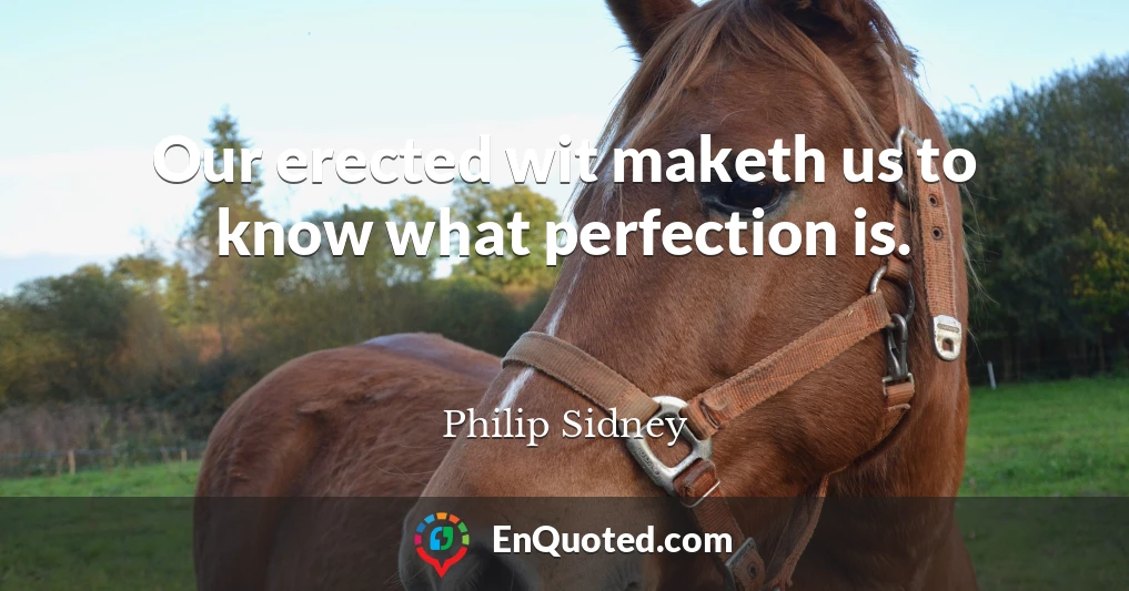 Our erected wit maketh us to know what perfection is.