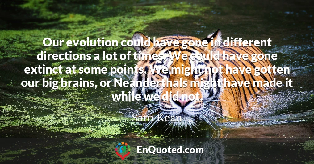 Our evolution could have gone in different directions a lot of times. We could have gone extinct at some points. We might not have gotten our big brains, or Neanderthals might have made it while we did not.