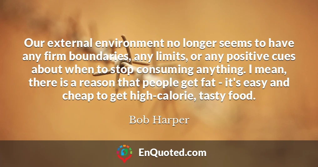 Our external environment no longer seems to have any firm boundaries, any limits, or any positive cues about when to stop consuming anything. I mean, there is a reason that people get fat - it's easy and cheap to get high-calorie, tasty food.