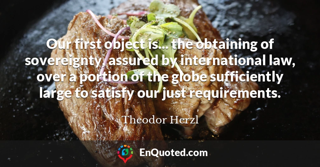 Our first object is... the obtaining of sovereignty, assured by international law, over a portion of the globe sufficiently large to satisfy our just requirements.