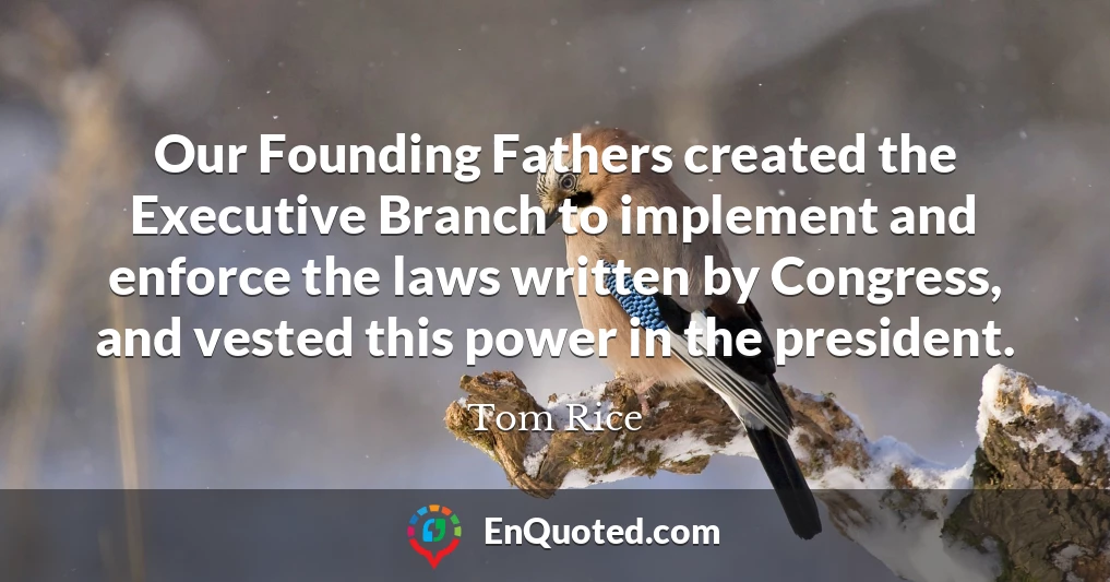Our Founding Fathers created the Executive Branch to implement and enforce the laws written by Congress, and vested this power in the president.
