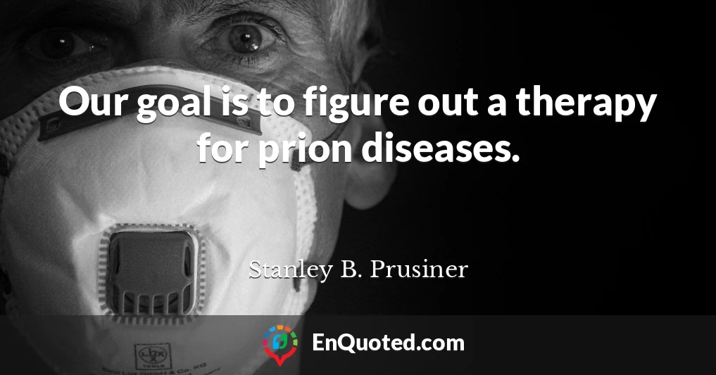 Our goal is to figure out a therapy for prion diseases.