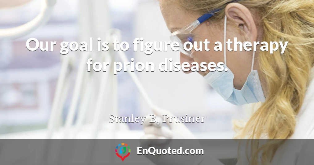 Our goal is to figure out a therapy for prion diseases.