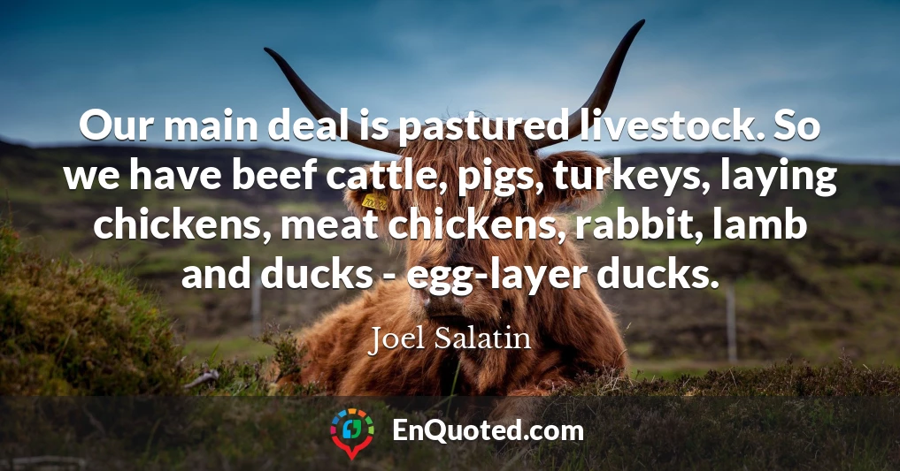 Our main deal is pastured livestock. So we have beef cattle, pigs, turkeys, laying chickens, meat chickens, rabbit, lamb and ducks - egg-layer ducks.
