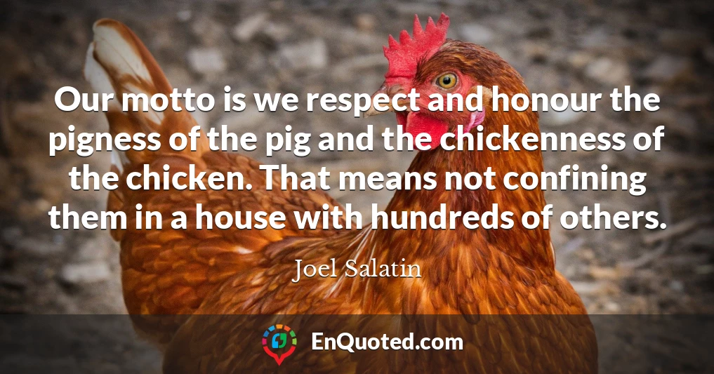 Our motto is we respect and honour the pigness of the pig and the chickenness of the chicken. That means not confining them in a house with hundreds of others.