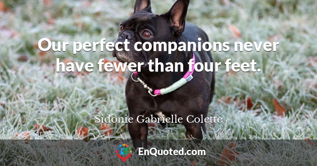 Our perfect companions never have fewer than four feet.