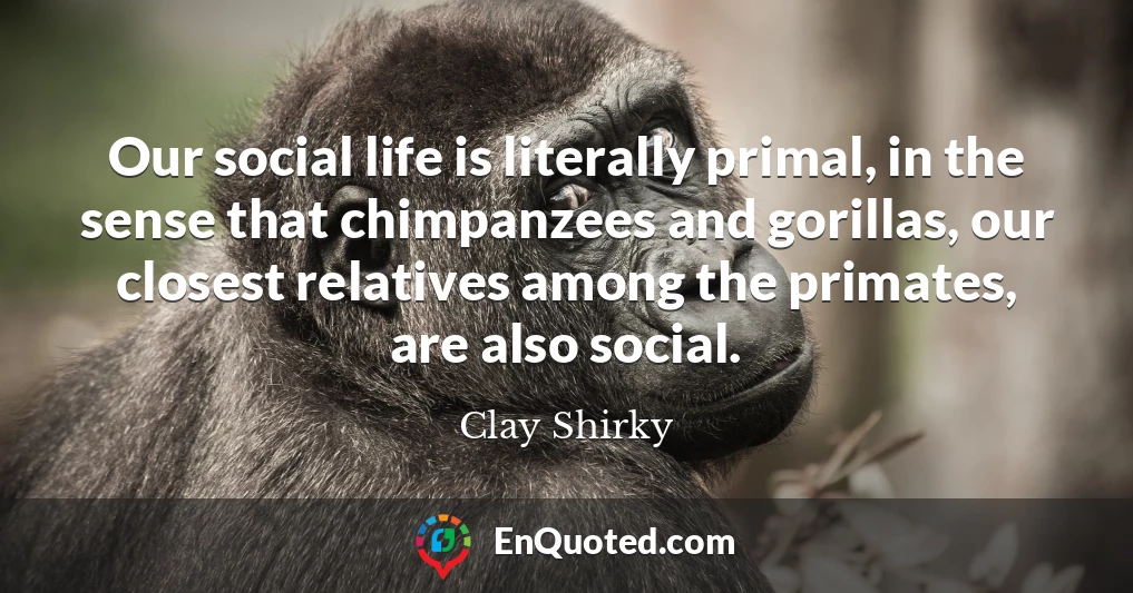Our social life is literally primal, in the sense that chimpanzees and gorillas, our closest relatives among the primates, are also social.