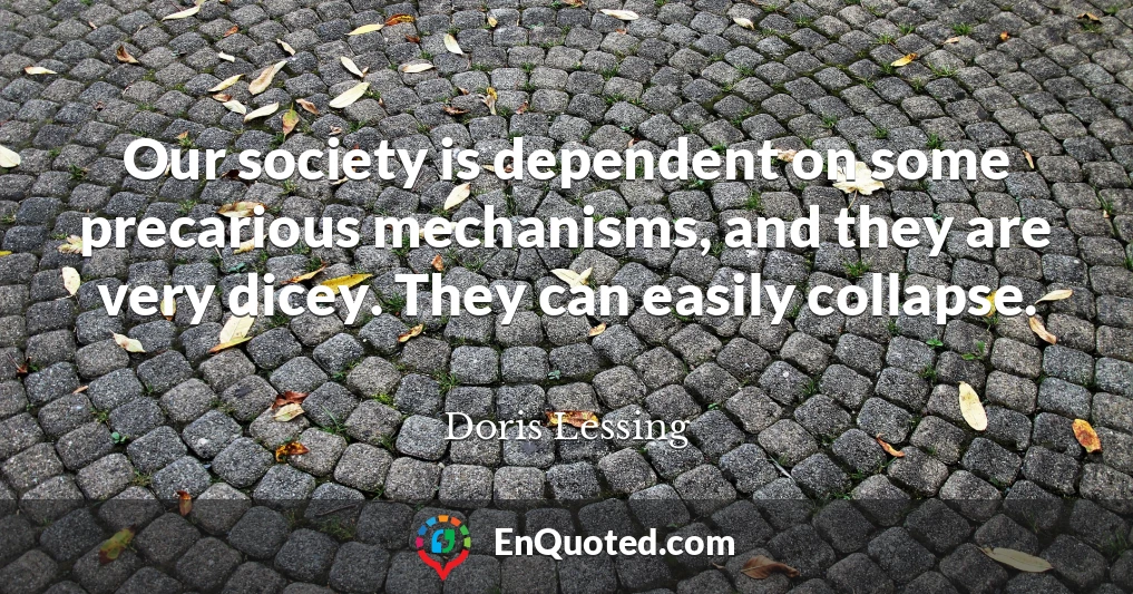 Our society is dependent on some precarious mechanisms, and they are very dicey. They can easily collapse.