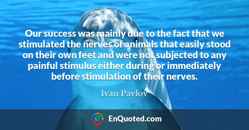 Our success was mainly due to the fact that we stimulated the nerves of animals that easily stood on their own feet and were not subjected to any painful stimulus either during or immediately before stimulation of their nerves.