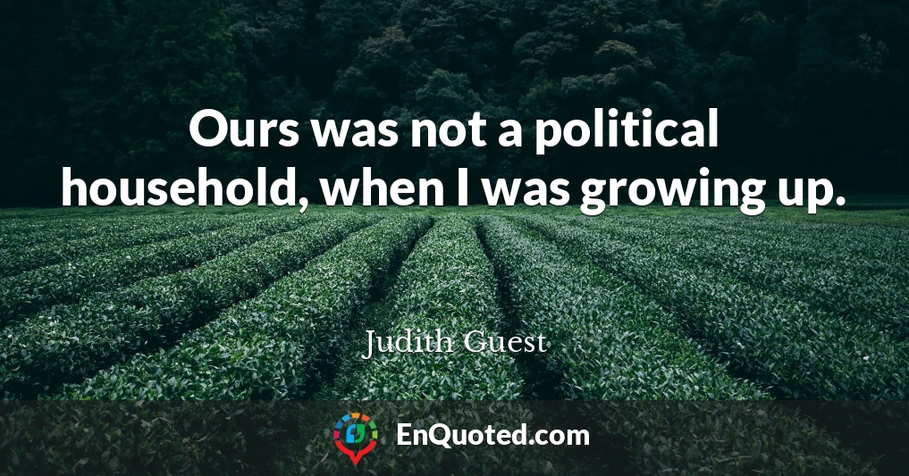 Ours was not a political household, when I was growing up.