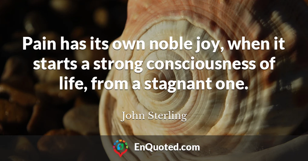 Pain has its own noble joy, when it starts a strong consciousness of life, from a stagnant one.