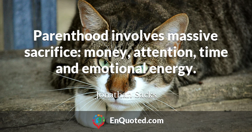 Parenthood involves massive sacrifice: money, attention, time and emotional energy.