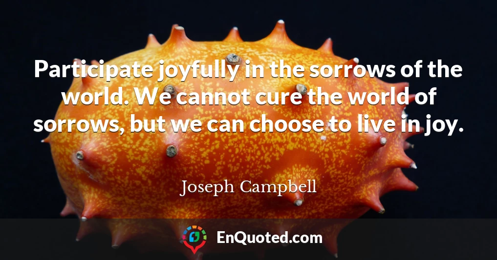 Participate joyfully in the sorrows of the world. We cannot cure the world of sorrows, but we can choose to live in joy.