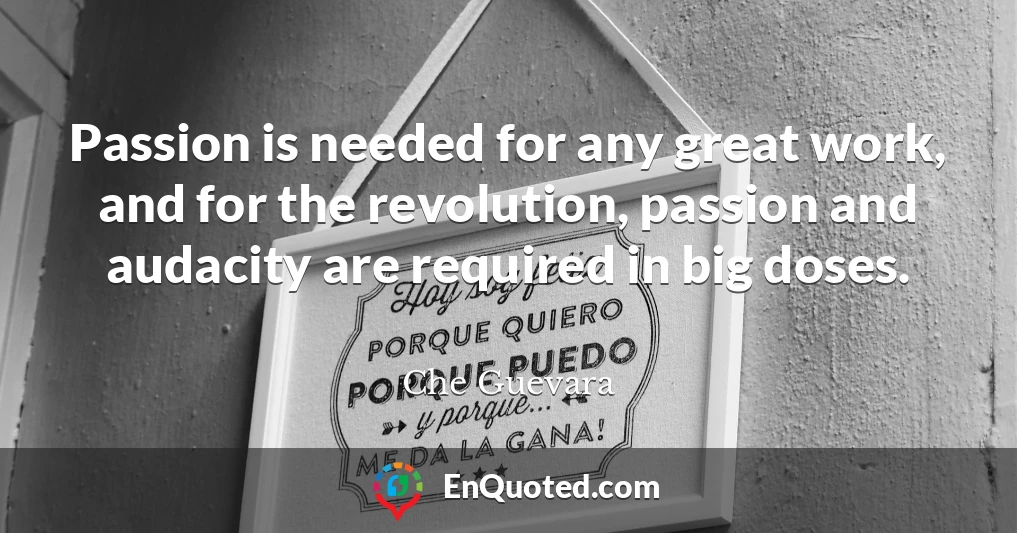 Passion is needed for any great work, and for the revolution, passion and audacity are required in big doses.