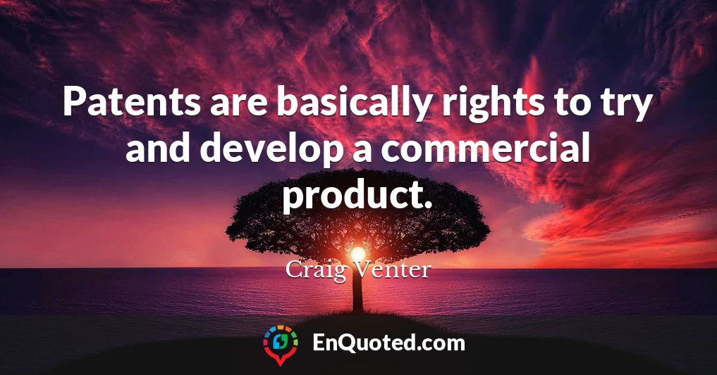 Patents are basically rights to try and develop a commercial product.