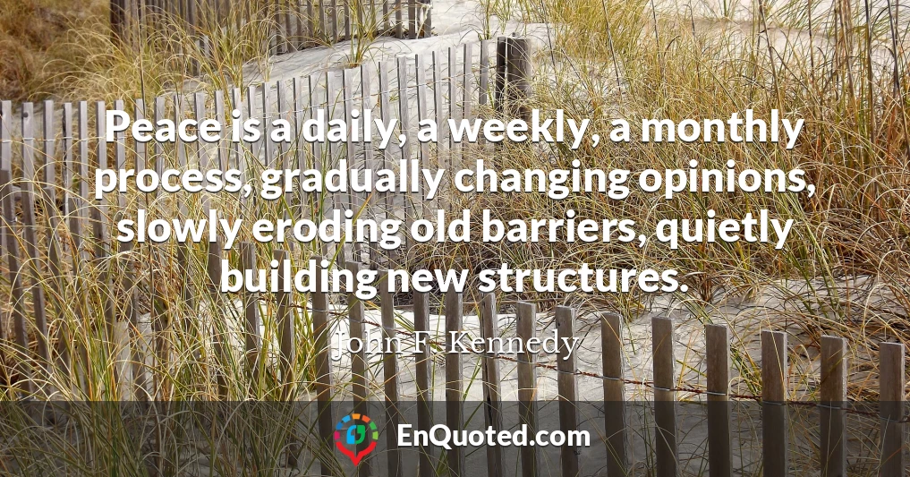 Peace is a daily, a weekly, a monthly process, gradually changing opinions, slowly eroding old barriers, quietly building new structures.