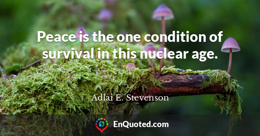 Peace is the one condition of survival in this nuclear age.