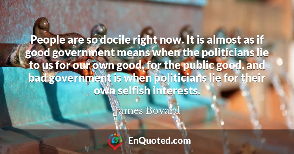 People are so docile right now. It is almost as if good government means when the politicians lie to us for our own good, for the public good, and bad government is when politicians lie for their own selfish interests.