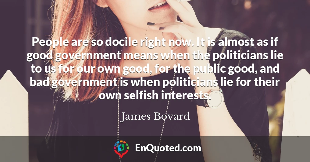 People are so docile right now. It is almost as if good government means when the politicians lie to us for our own good, for the public good, and bad government is when politicians lie for their own selfish interests.