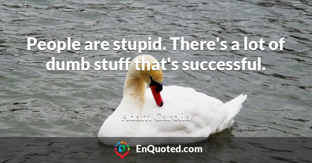People are stupid. There's a lot of dumb stuff that's successful.